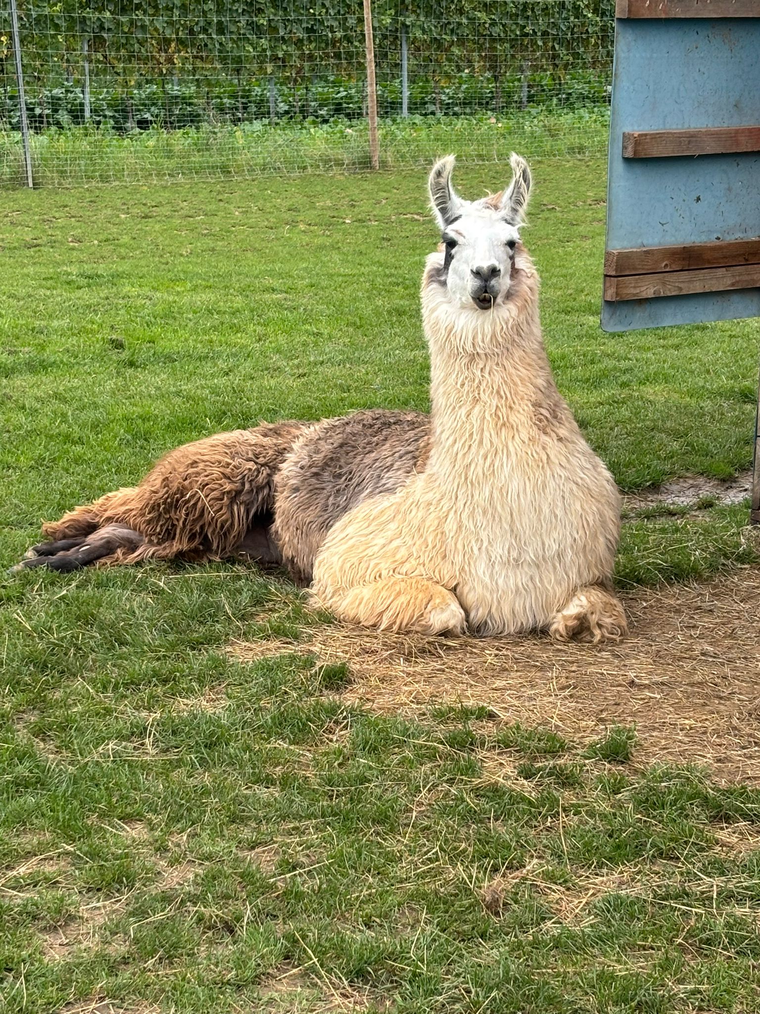 WhatsApp Image 2026-03-16 at 13.44.33 (1)