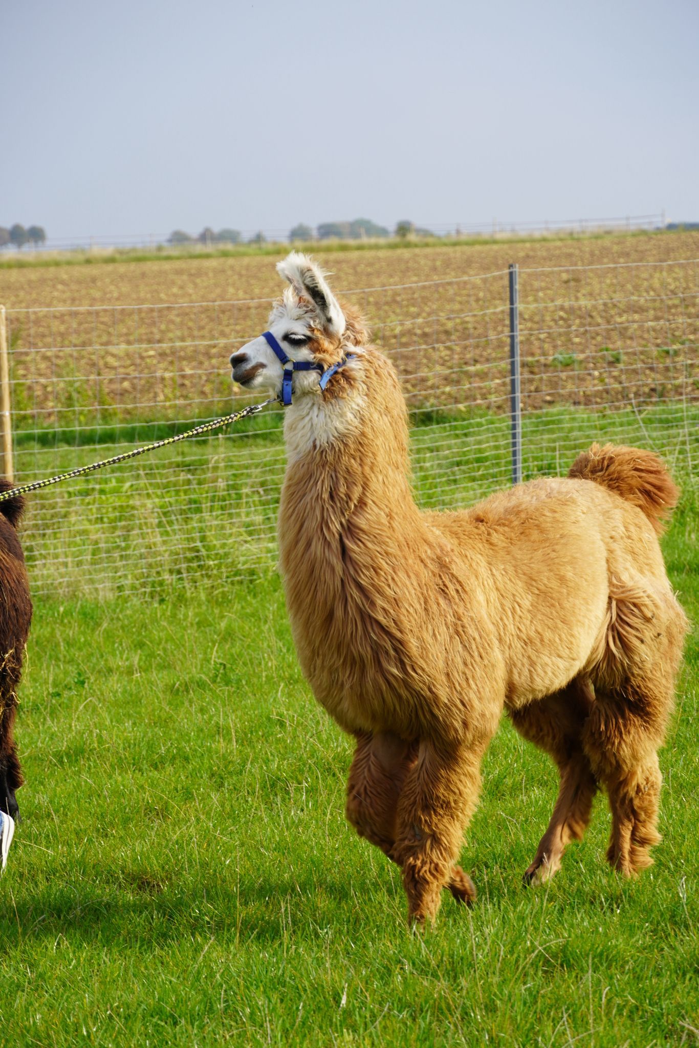 WhatsApp Image 2026-03-16 at 13.50.48 (1)